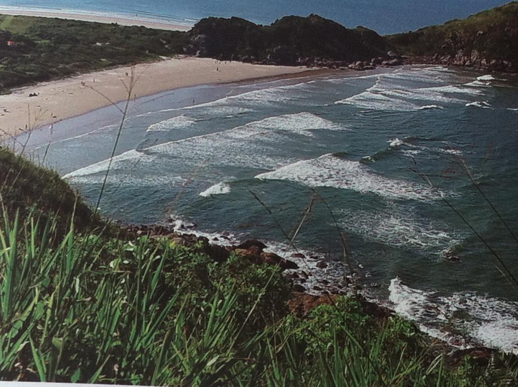- Frente A Do Farol